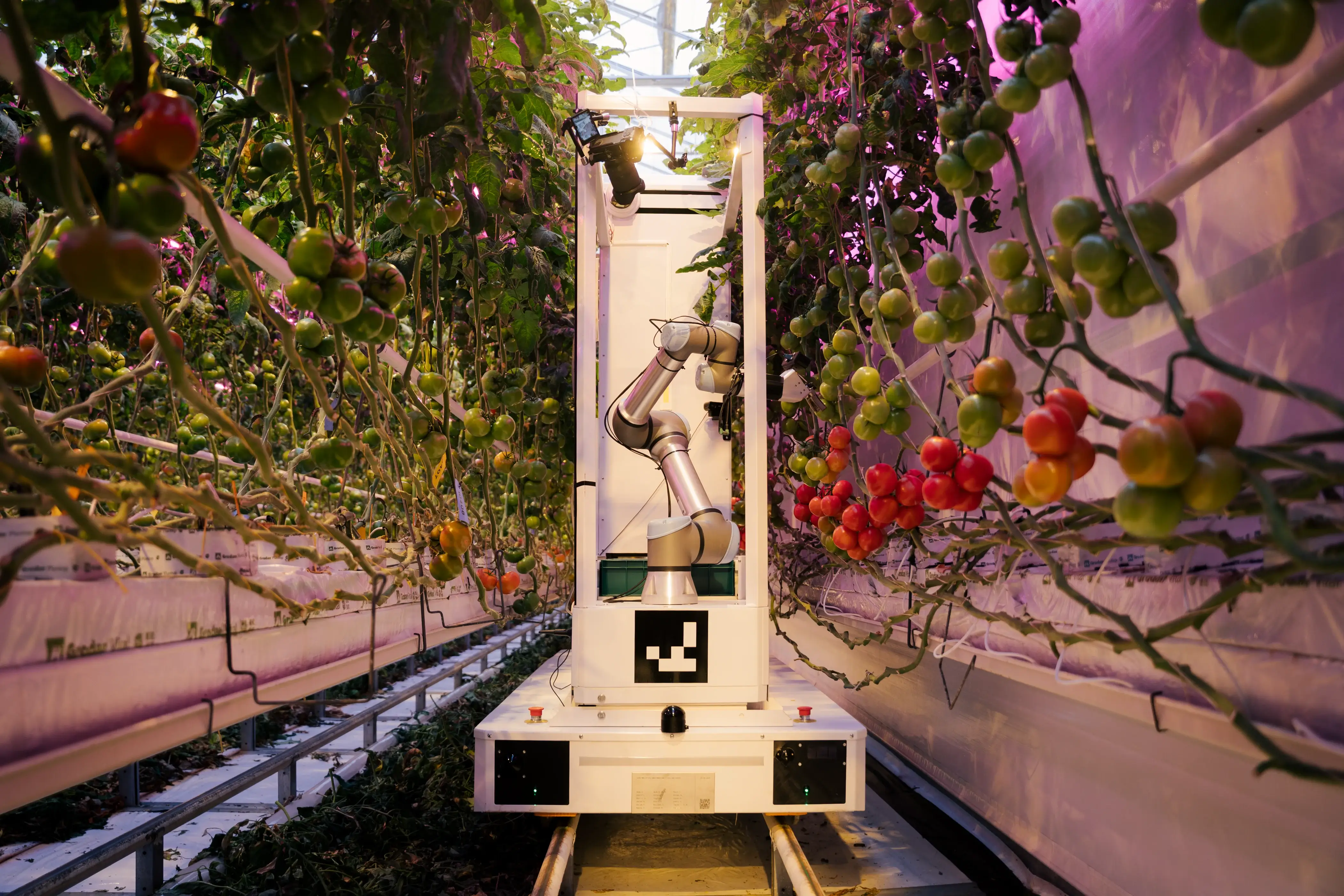 eternal.ag CEO Renji on Autonomous Greenhouse Harvesting Robots